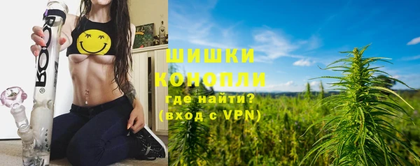 ГАЛЛЮЦИНОГЕННЫЕ ГРИБЫ Алзамай