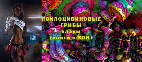 ГАЛЛЮЦИНОГЕННЫЕ ГРИБЫ Алзамай