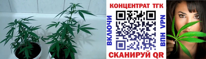 ТГК жижа  Стародуб 