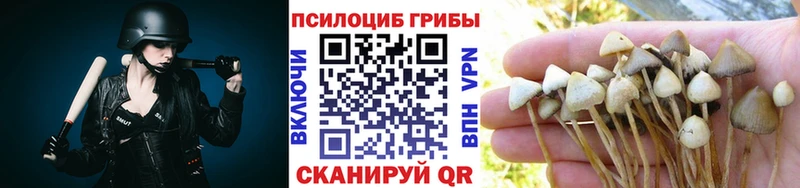 Галлюциногенные грибы Magic Shrooms Стародуб